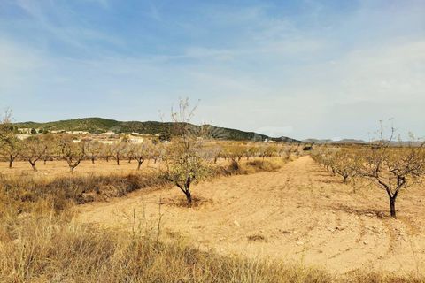Helårsgrund i Raspay, Murcia, Raspay - € 65.000 | Ref: SF0353 - foto 6